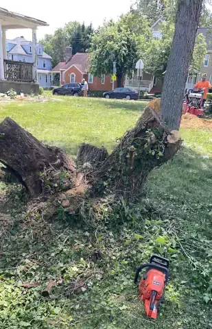 Stoneman Landscaping LLC